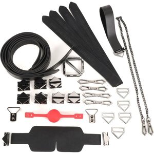 LOCKINK - Bondage & Fessel-Set - schwarz