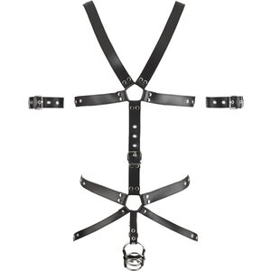 Harness aus Leder mit 3 Penis-/Hodenringen